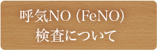呼気NO（FeNO）検査 について